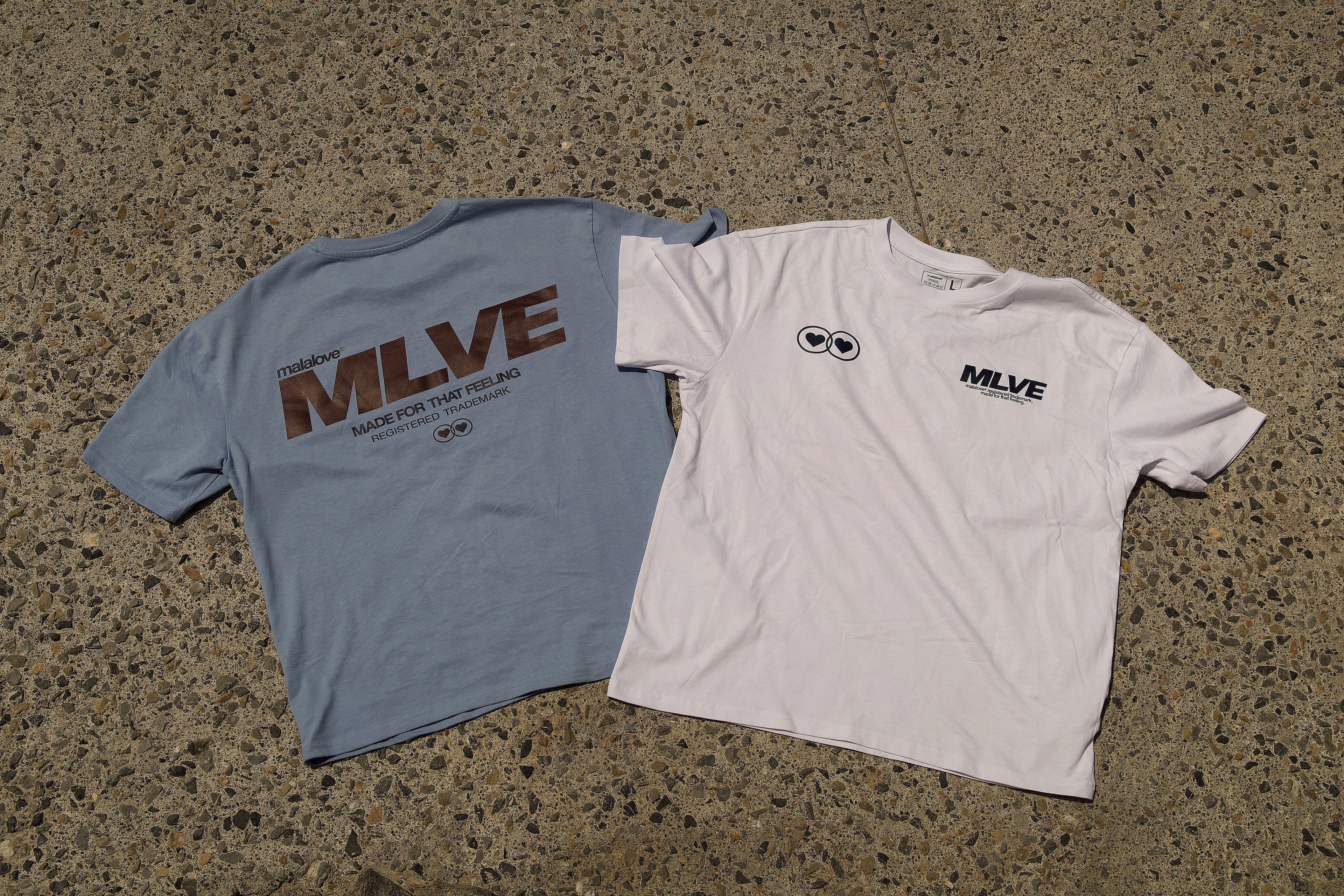 Skybound T-Shirt.